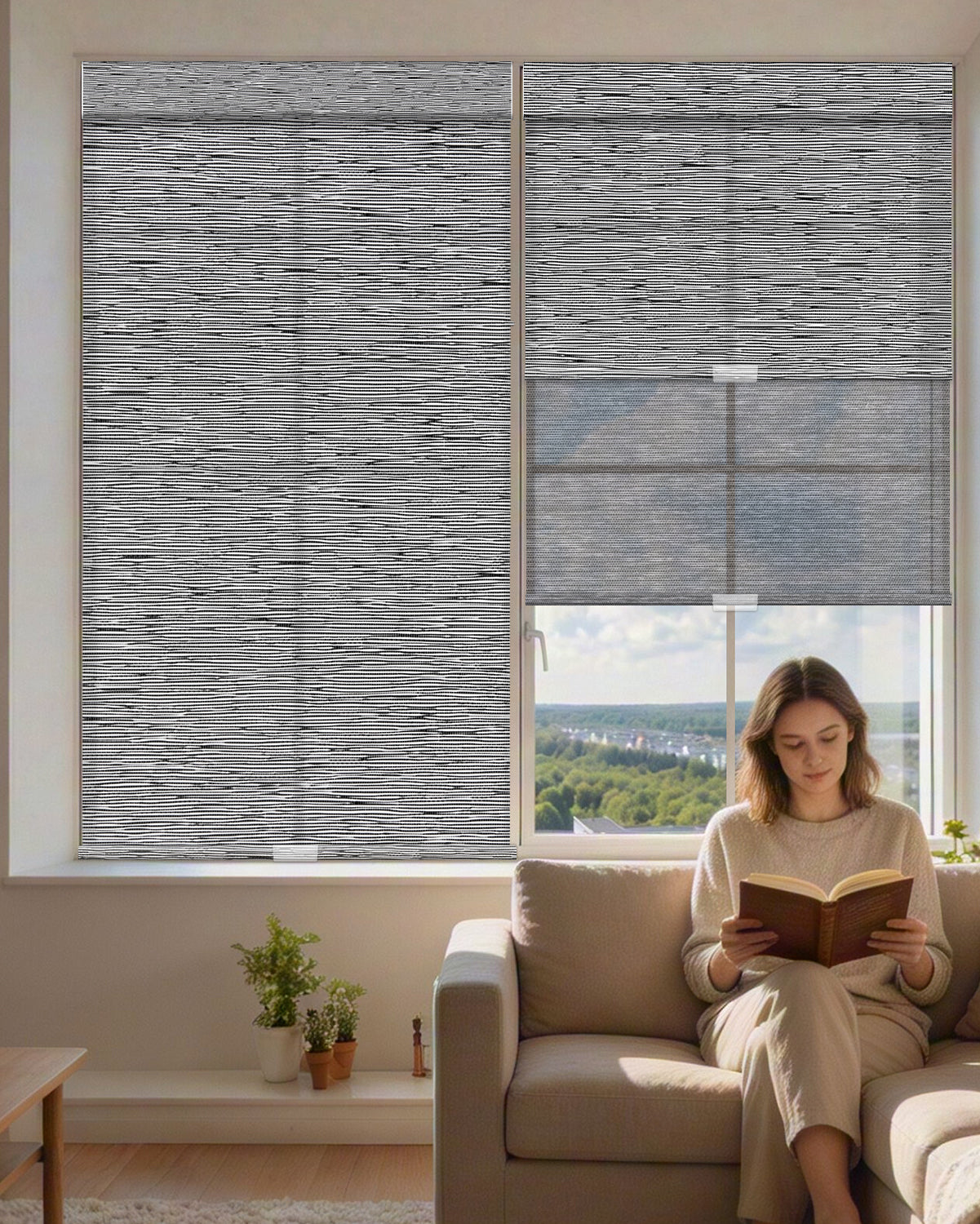 Manual Cordless Dual Roller Shades, Light Filtering & Sheer