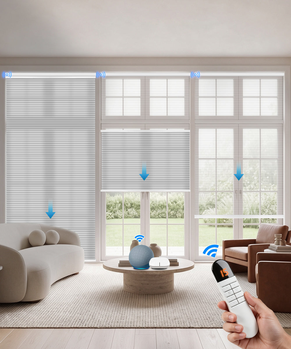 Motorized Day Night Cellular Shades – Sheer & Blackout/Light Filtering