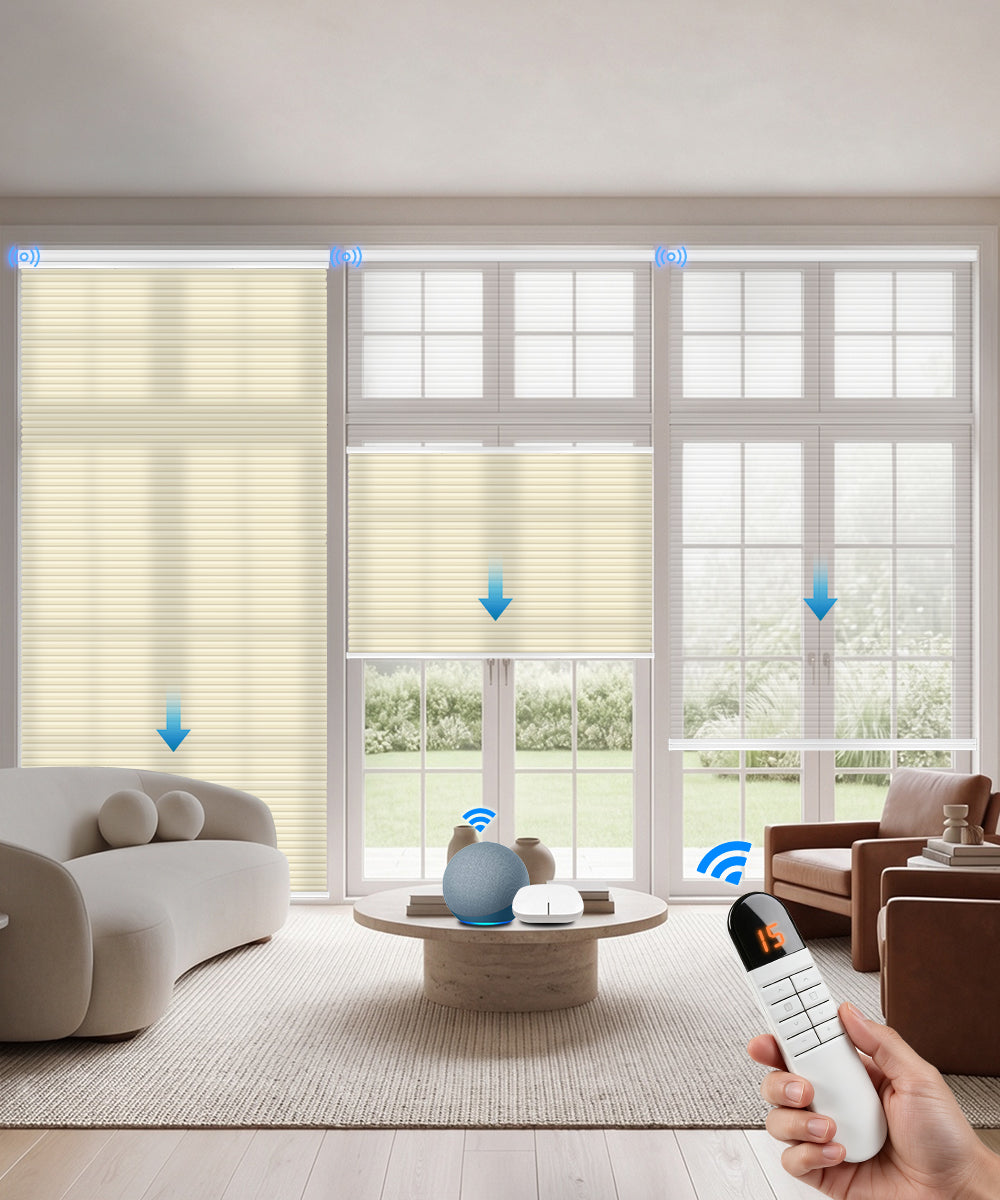 Motorized Day Night Cellular Shades – Sheer & Blackout/Light Filtering