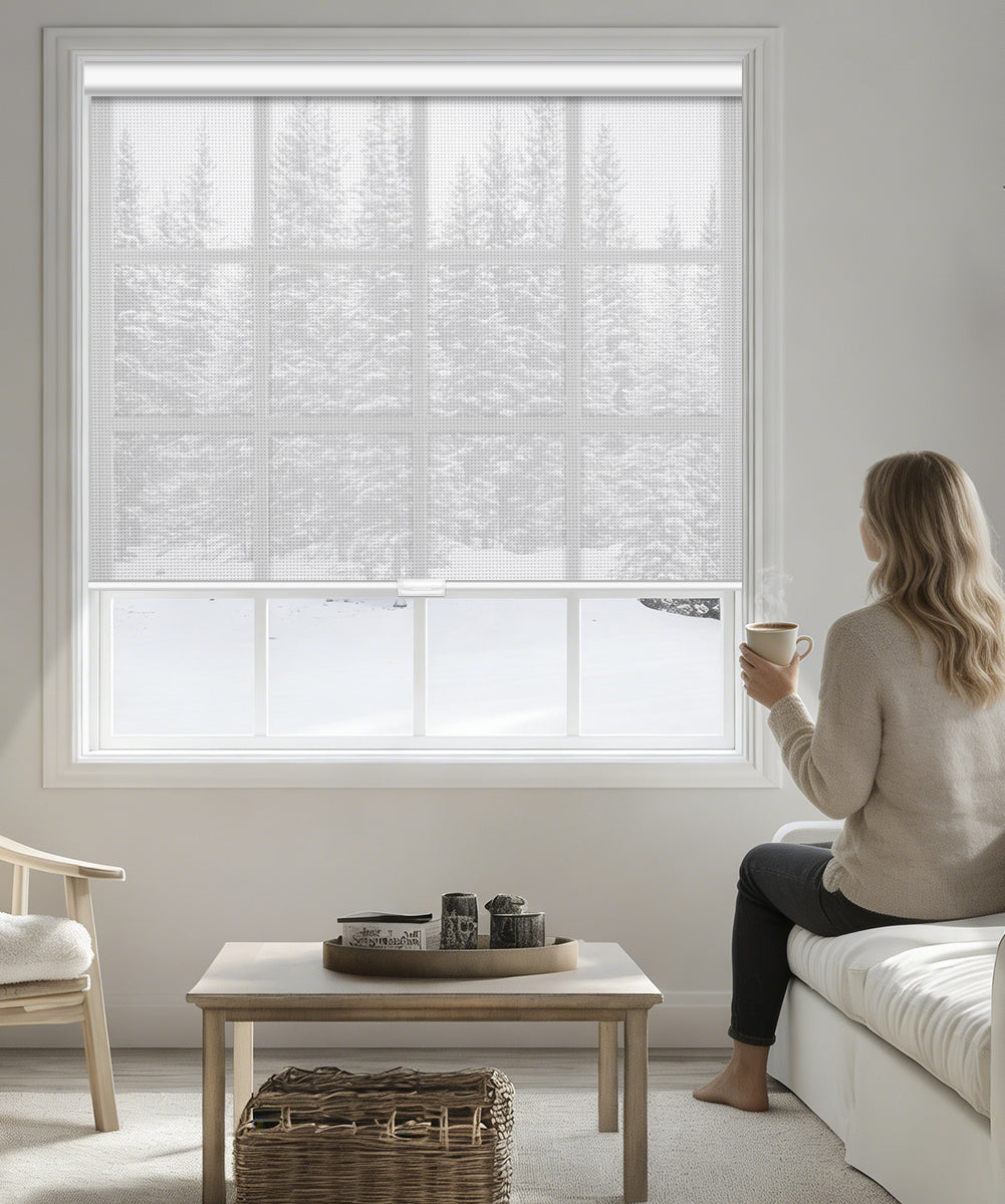 Manual Cordless Light Filtering Roller Shade - Fireproof Fabric