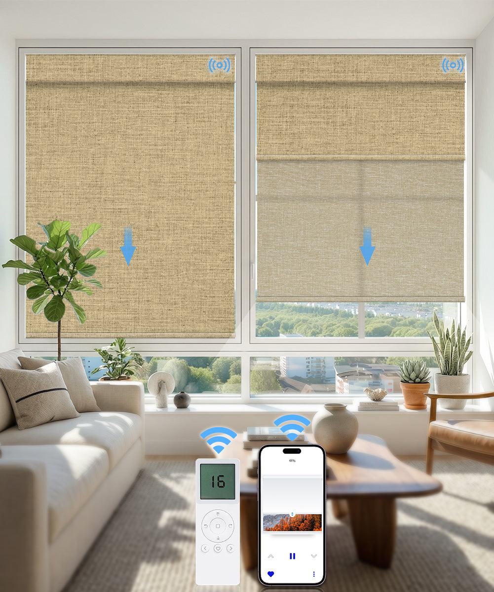 Motorized Dual Roller Shades, Blackout & Light Filtering