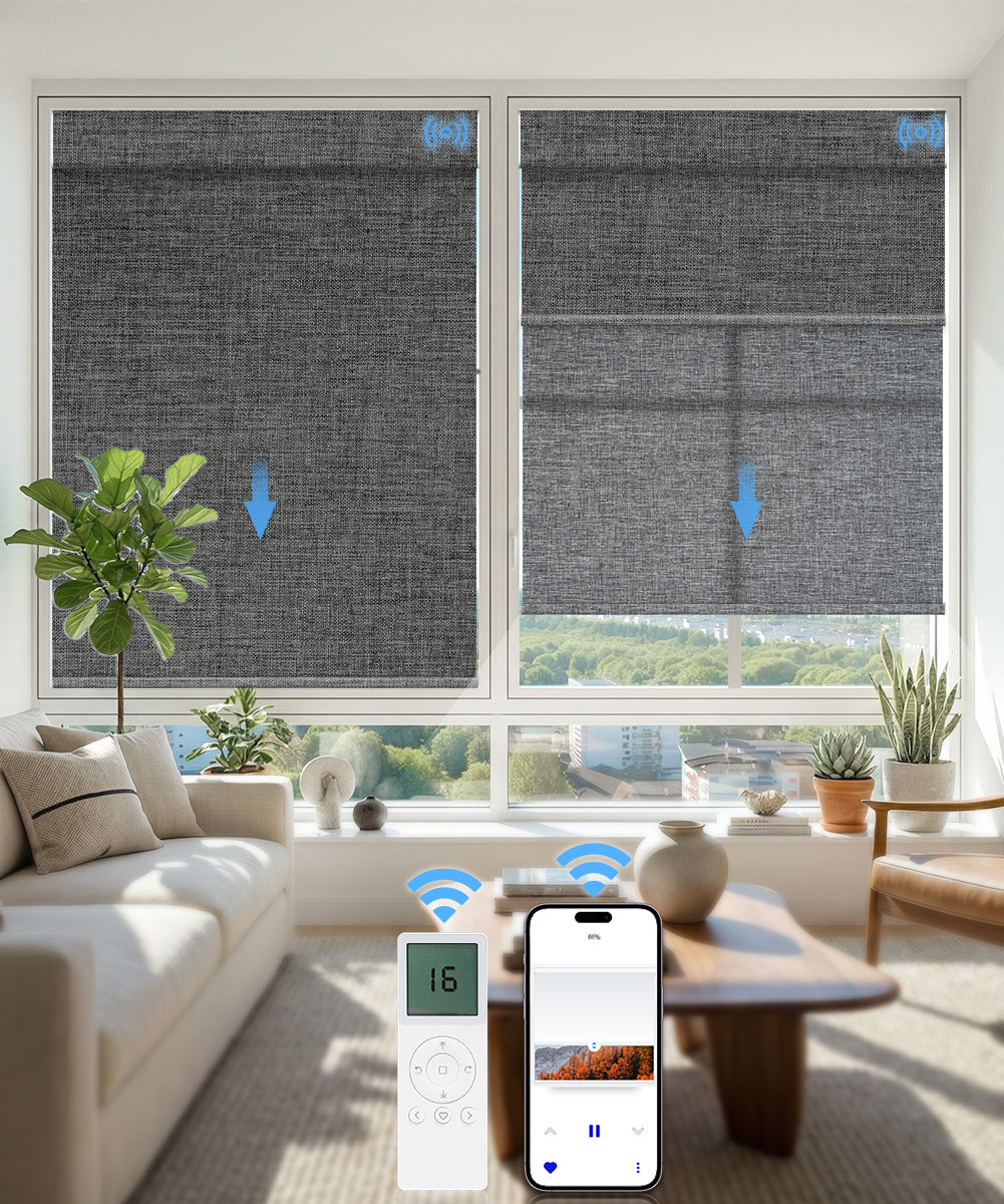 Motorized Dual Roller Shades, Blackout & Light Filtering