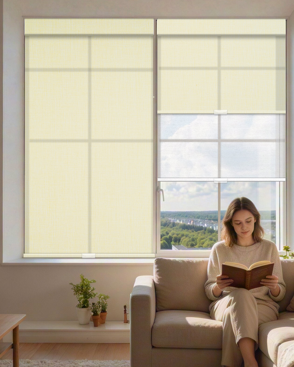 Manual Cordless Dual Roller Shades, Light Filtering & Sheer