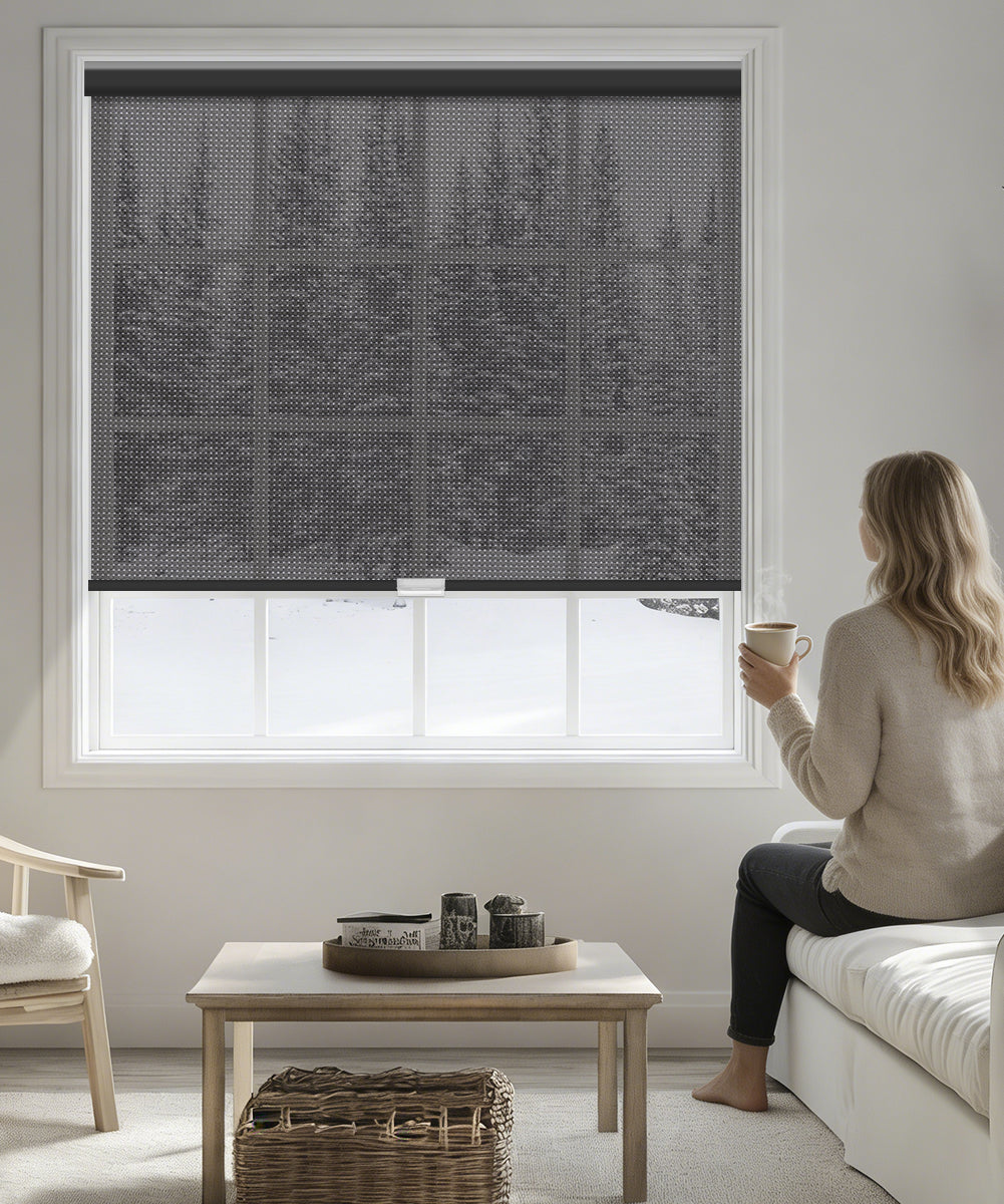 Manual Cordless Light Filtering Roller Shade - Fireproof Fabric