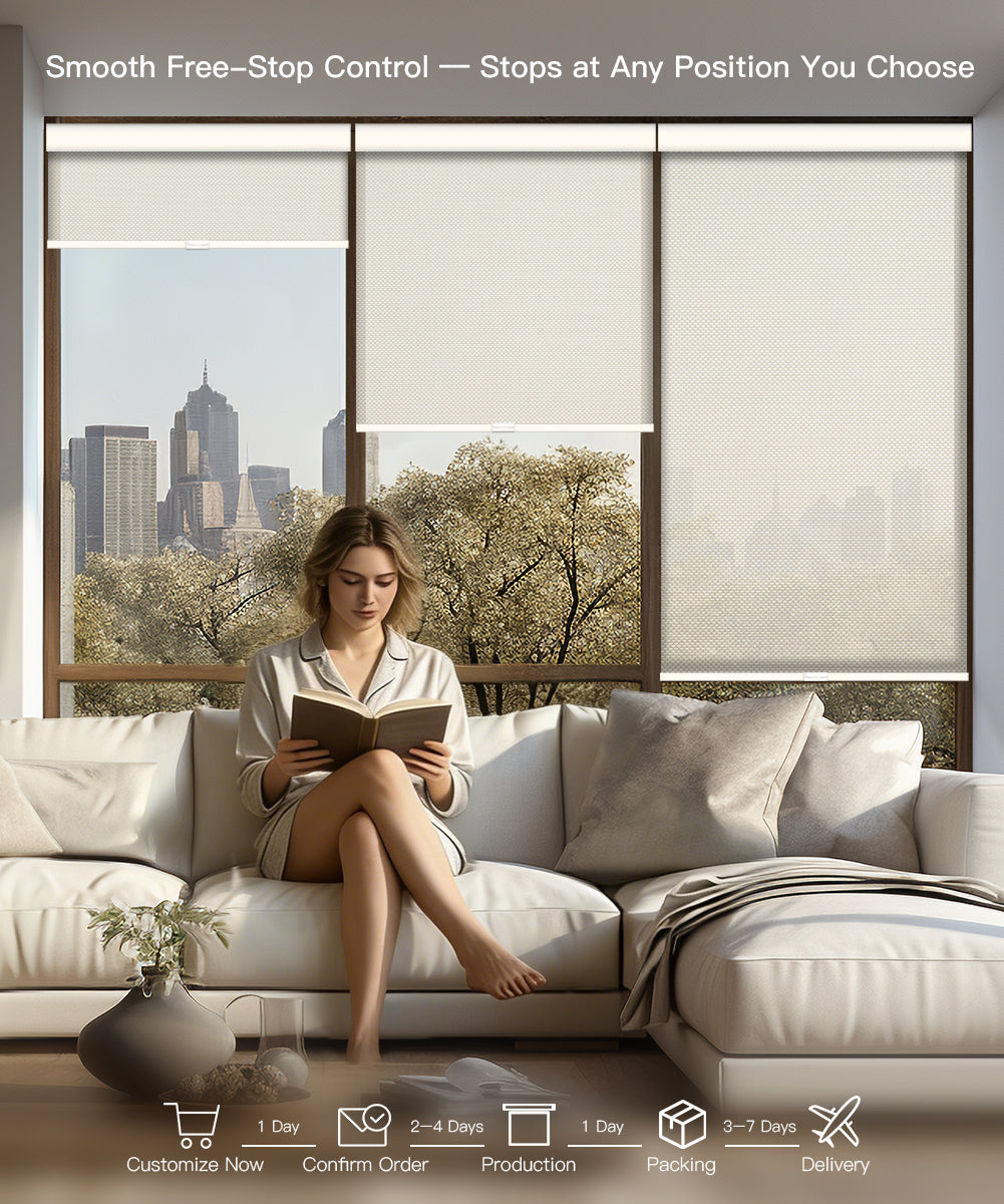 Manual Cordless Light Filtering Roller Shade - Fireproof Fabric