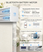 Motorized Dual Roller Shades, Light Filtering & Sheer