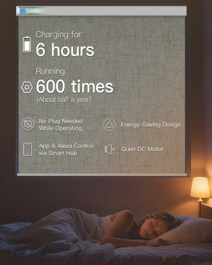 Smart Motorized Blackout Roller Shade - Tokblind official